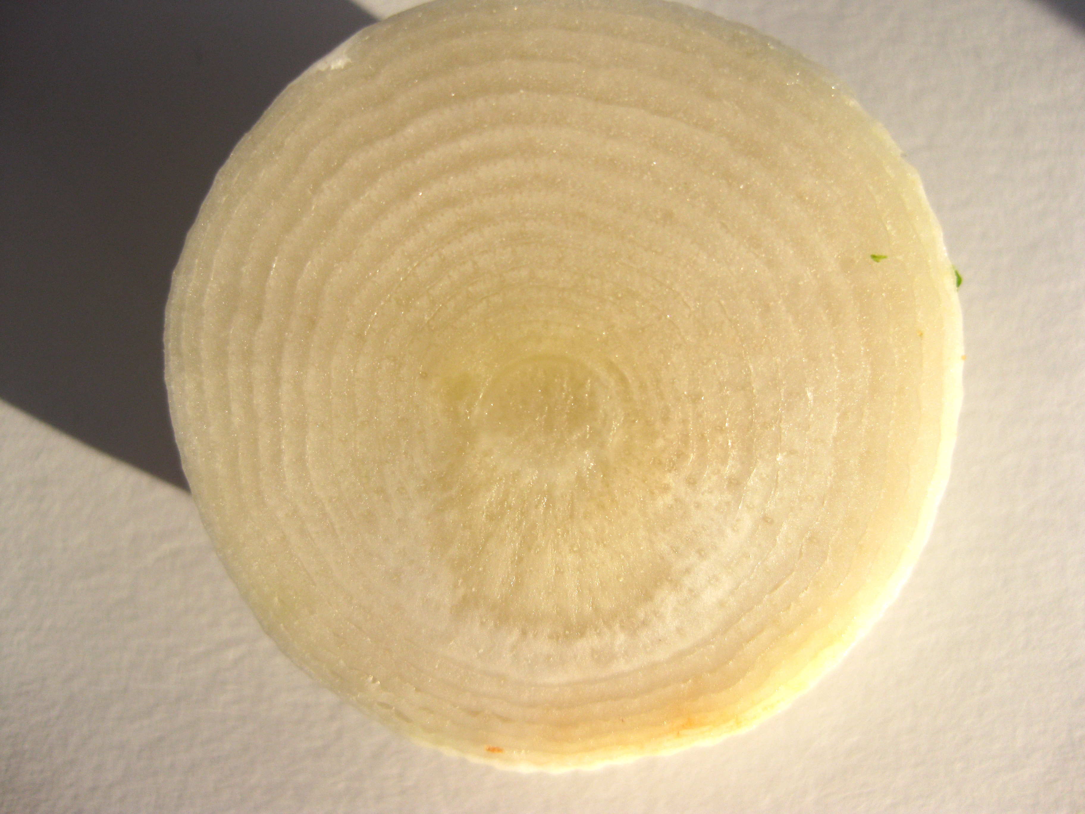 vegetable12